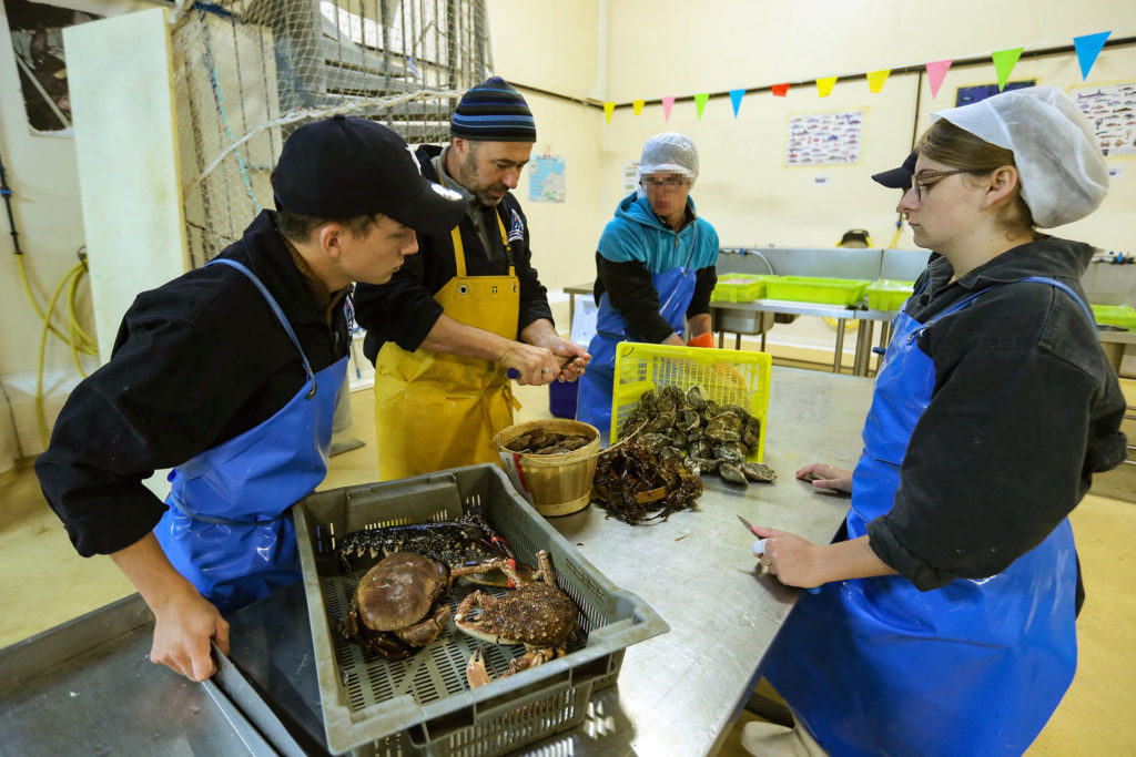 Formation pratique aux fruits de mer.