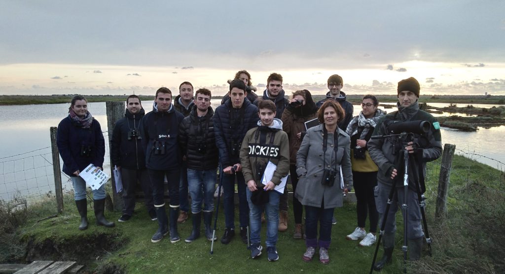 Sortie de terrain et d'observation des oiseaux limicoles à la réserve naturelle de Lilleau des Niges