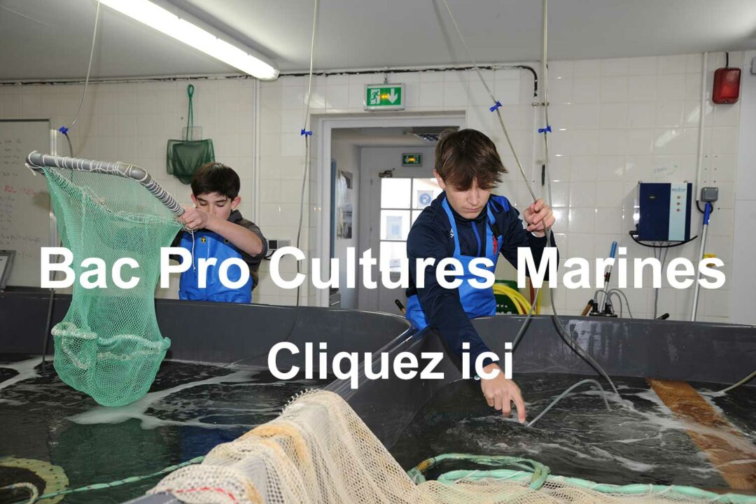Bac Pro Cultures Marines